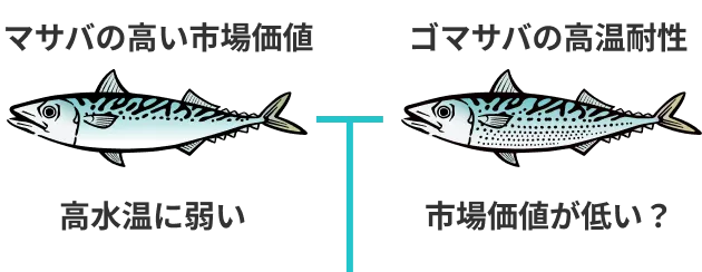 マサバとゴマサバのハイブリッド種苗を創出